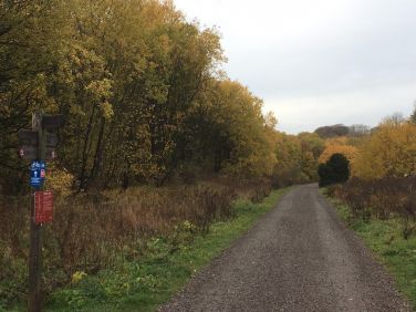 Autumn walks along The Monsal Trail