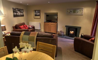 Lounge with leather sofas