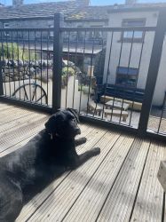 Tryst Cottage Ingleton