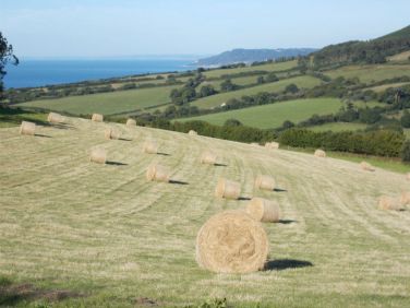 Walk to the coastal footpath