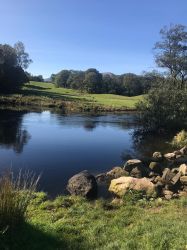 River Brathay between Skelwith Bridge and Elterwater