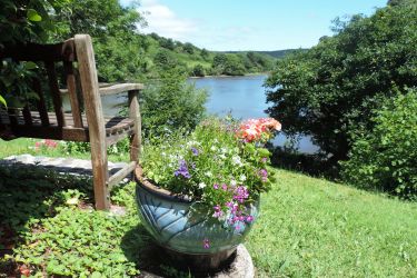 Another place to sit and soak up the tranquility of the creek