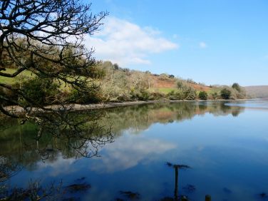 A winter's day at Rock Cottage