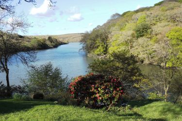 Spring time at Rock Cottage
