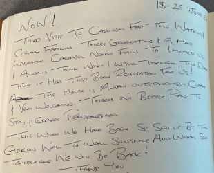 3rd visit - 3 generation family.  Carousel never fails to impress.  June 2022