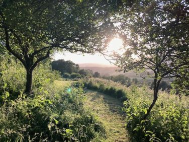 The garden path