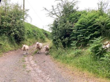 Neighbours outside the gate