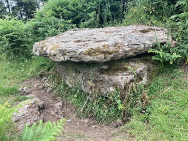 Neolithic stone in the field above for contemplation
