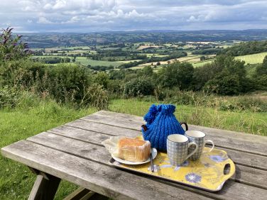 Tea with a view