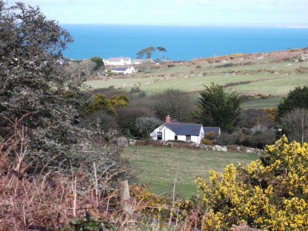 Bramble Cottage Dog Family Friendly Holiday Rental In Cornwall