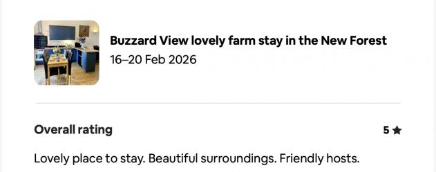 Buzzard View