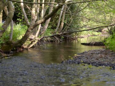 The River Avon borders the farm
