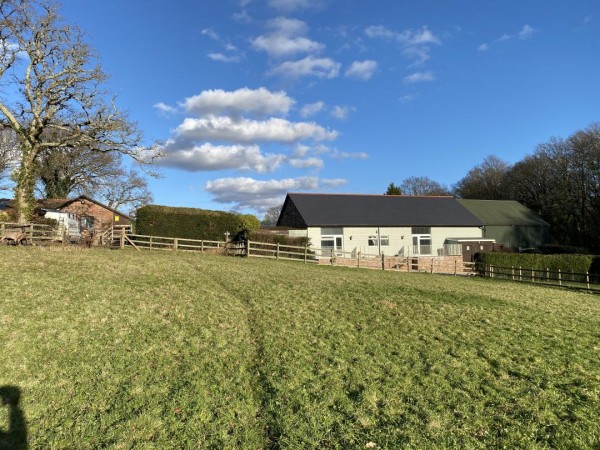 Buzzard View