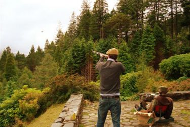 Clay pigeon shooting and deer stalking available on the estate