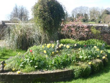 Spring in the garden