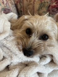 George, looking cute!