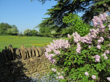 Just down the hill . . .