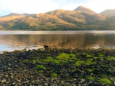 Lower Polnish