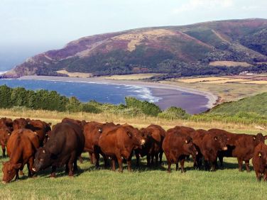 A stunning setting offering the perfect mix of coastal and country life