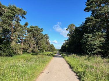 Monnington Walk in Monnington on Wye. Peaceful, tranquil, no vehicles, birds and full of birdsong