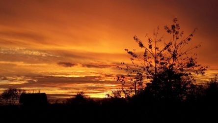 You can see some beautiful sunsets while staying at Ashfield Cottages