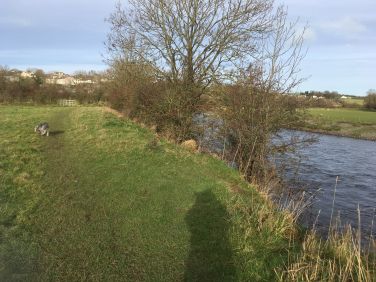 River Derwent - down the lane from Coldgill View