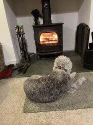 Cosy Log Burner