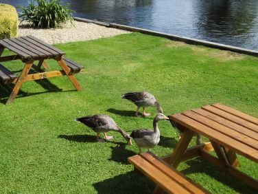 You may even get some visitors.