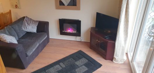 New wood floor in living room with state-of-the-art fire and 32" TV / DVD.