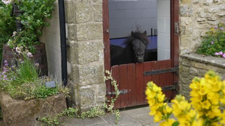 Cowslip Cottage