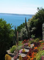 Tropical paradise at St Michaels Mount