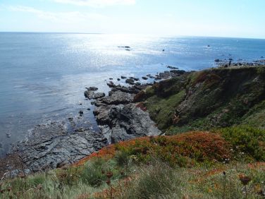 Miles of unspoilt coastline to walk and explore