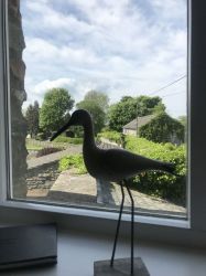 View from the living room