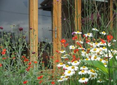 Pretty cottage-garden area
