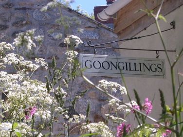 A warm welcome awaits at Goongillings Farm