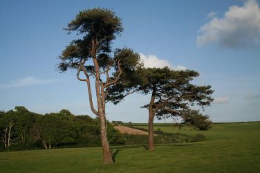 The walk across the farm