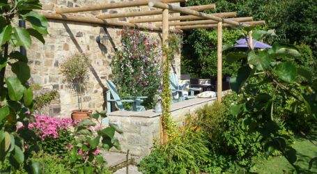 The terrace, with sweet peas, passion flowers...and hopefully some sunshine!