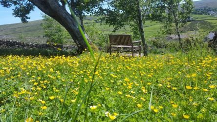 Large enclosed garden
