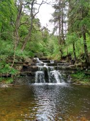 Ashgill, a delightful valley approx 10 mins away