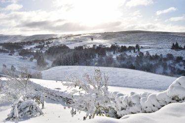 View from the garden in winter