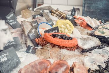 Padstow Breaks - Dukes Cabin