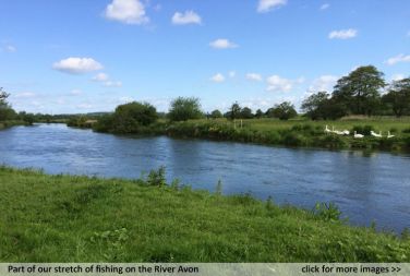 The River Avon