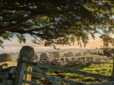 Glorious walks and views on our working farm