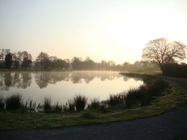 Misty fishing lakeside walk