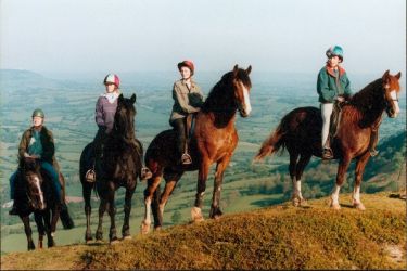 Activities nearby - pony trekking