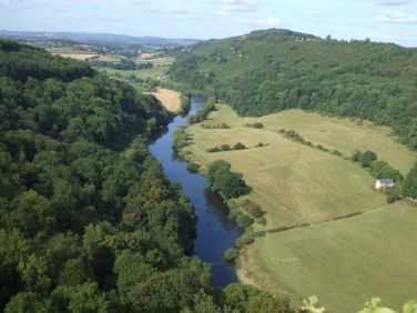 View from Symonds Yat Rock