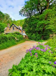 NT Watersmeet Tea Rooms