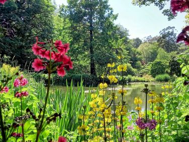Marwood Hill Gardens Near Ilfracombe