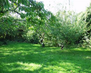 Extensive garden area
