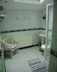Downstair shower room